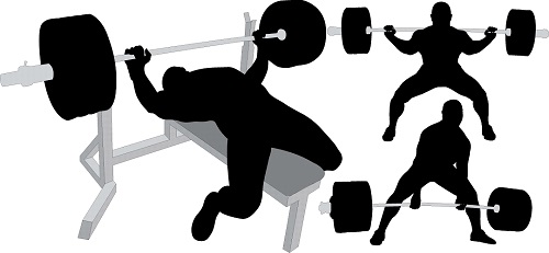 How Heavy Are the Dumbbells You Lift? - Wikipedia