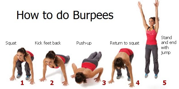 5 reasons to Do Burpees Everyday – WWW.JCMUSCLEBUILDING.COM